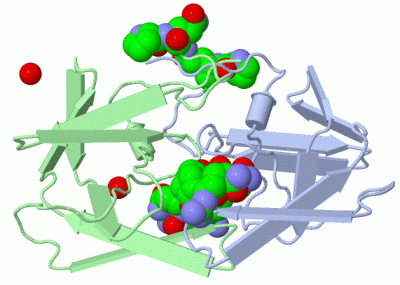 Image Asym./Biol. Unit - manually