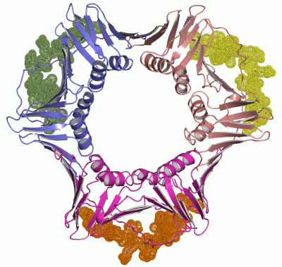 Image Asym./Biol. Unit - manually