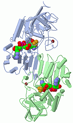 Image Asym./Biol. Unit - manually