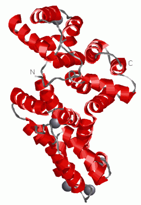 Image Asym./Biol. Unit - manually