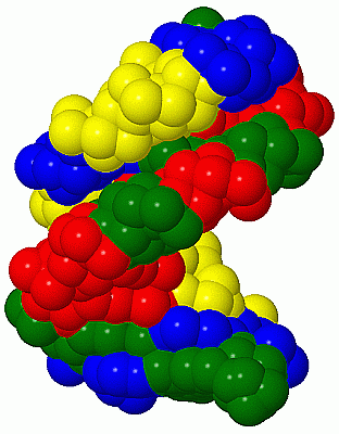 Image NMR Structure - manually