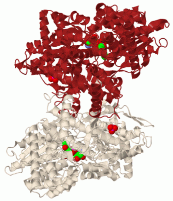 Image Biol.Unit 1 - manually