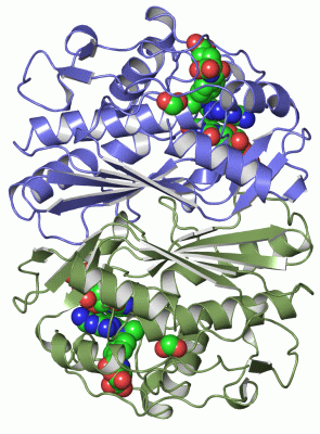 Image Asym./Biol. Unit - manually