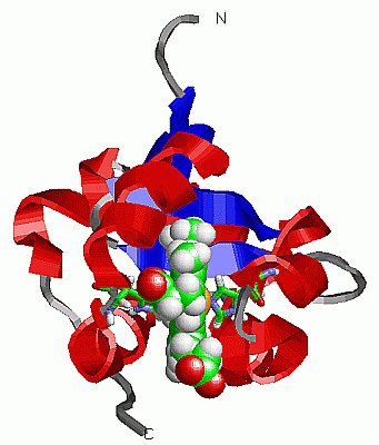 Image NMR Structure - manually