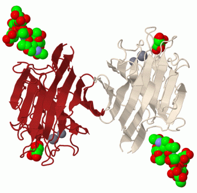 Image Biol.Unit 1 - manually