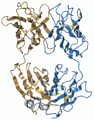 Image Asym./Biol. Unit - manually