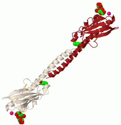 Image Biol.Unit 1 - manually