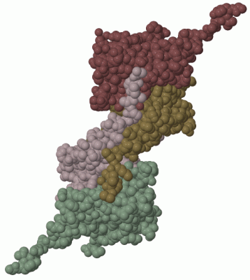 Image Biol.Unit 1 - manually