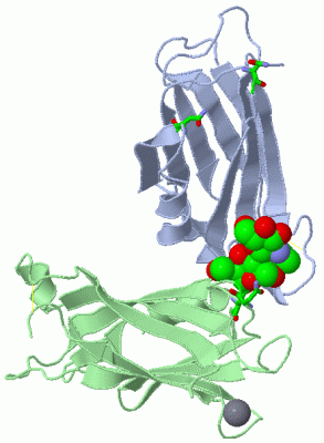 Image Asym./Biol. Unit - manually
