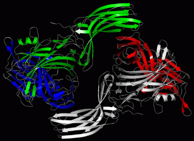 Image Asym./Biol. Unit - manually