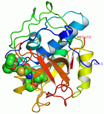 Image Asym./Biol. Unit - manually