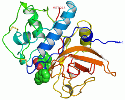 Image Asym./Biol. Unit - manually