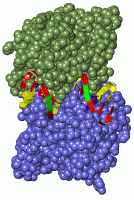 Image Asym./Biol. Unit - manually