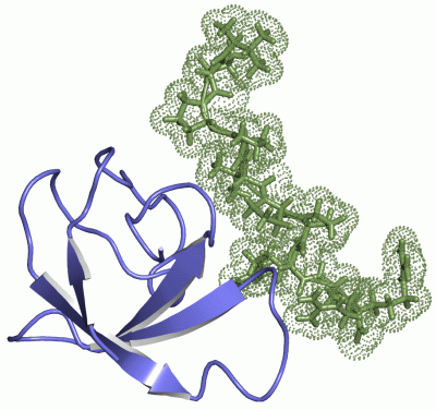 Image NMR Structure - manually