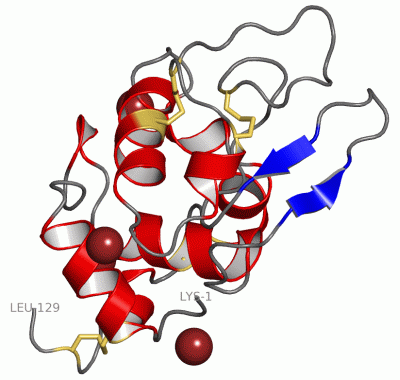 Image Asym./Biol. Unit - manually