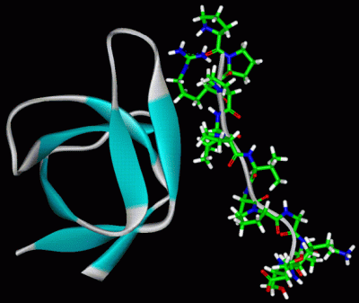 Image NMR Structure - manually