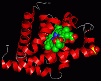 Image Asym./Biol. Unit - manually