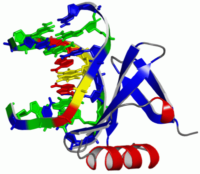 Image Asym./Biol. Unit - manually
