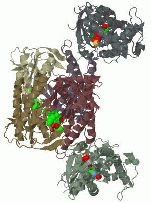 Image Biol.Unit 1 - manually