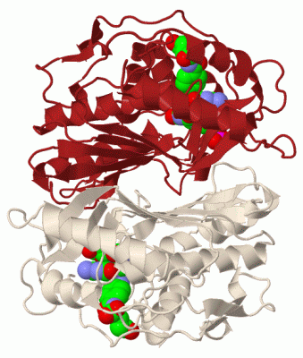 Image Asym./Biol. Unit - manually