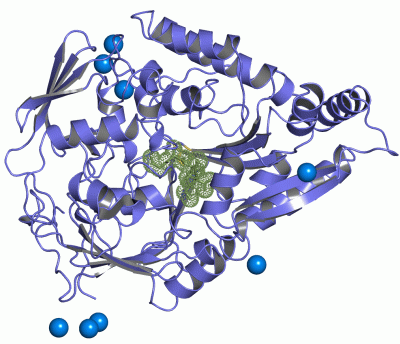 Image Asym./Biol. Unit - manually