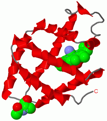 Image Asym./Biol. Unit - manually