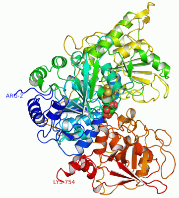 Image Asym./Biol. Unit - manually