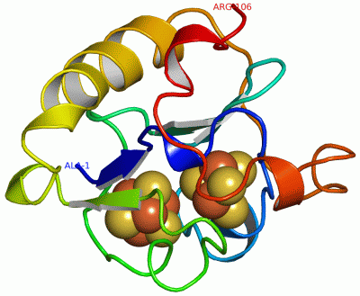 Image Asym./Biol. Unit - manually