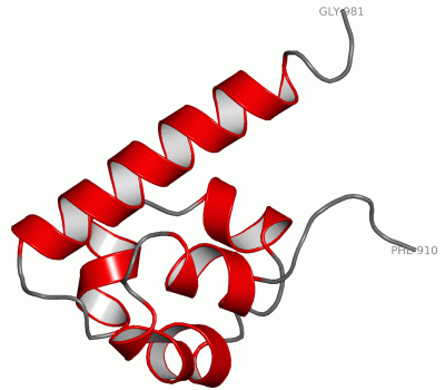 Image Asym.Unit - manually