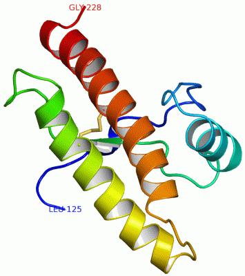 Image NMR Structure - manually
