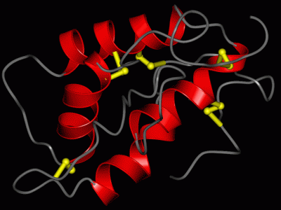 Image Asym./Biol. Unit - manually