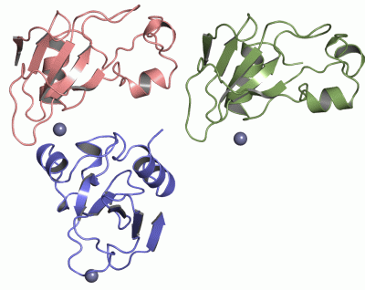 Image Asym.Unit - manually