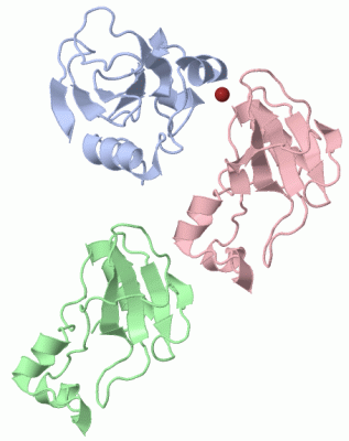 Image Asym.Unit - manually