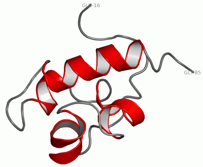 Image NMR Structure - manually