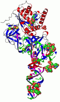 Image Asym./Biol. Unit - manually