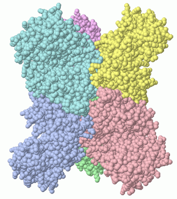 Image Asym./Biol. Unit - manually