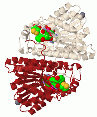 Image Biol.Unit 1 - manually