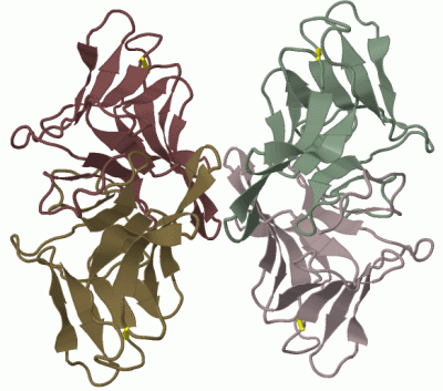 Image Biol.Unit 1 - manually