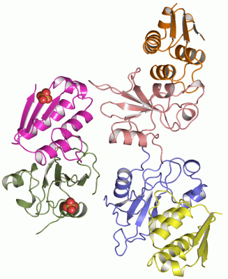 Image Asym.Unit - manually