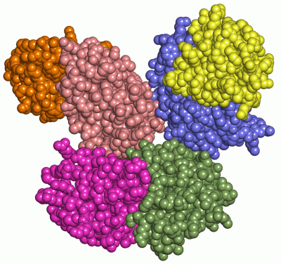 Image Asym.Unit - manually