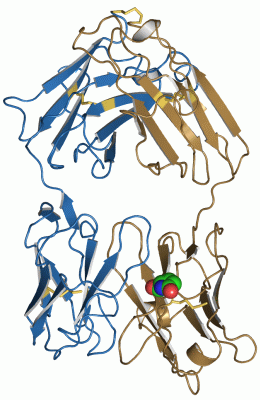 Image Asym./Biol. Unit - manually