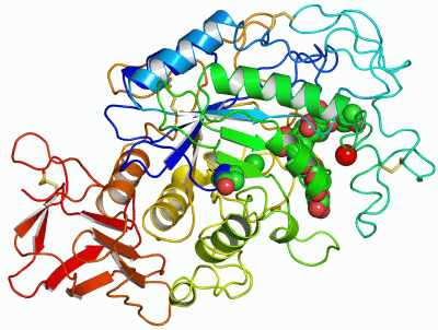 Image Asym./Biol. Unit - manually