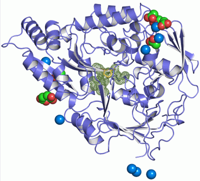 Image Asym./Biol. Unit - manually