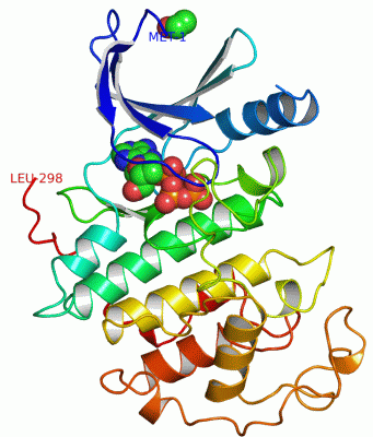 Image Asym./Biol. Unit - manually