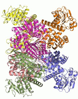 Image Asym./Biol. Unit - manually