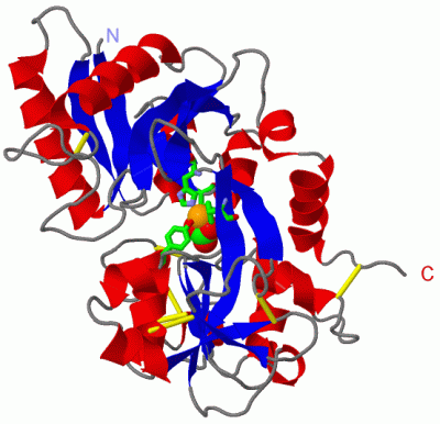 Image Asym./Biol. Unit - manually