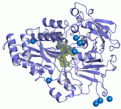Image Asym./Biol. Unit - manually