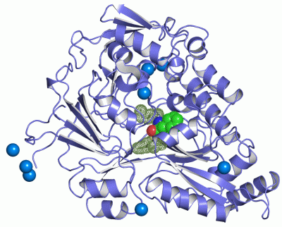 Image Asym./Biol. Unit - manually