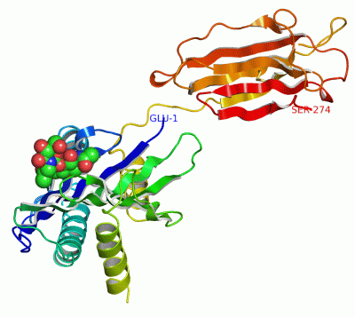 Image Asym./Biol. Unit - manually