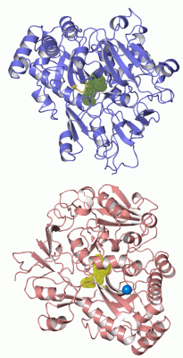 Image Asym.Unit - manually